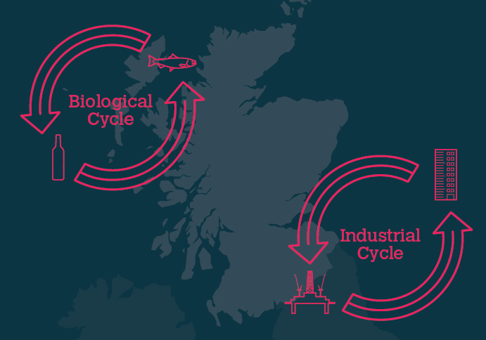 Featured image of Project: Scottish Circular Economy